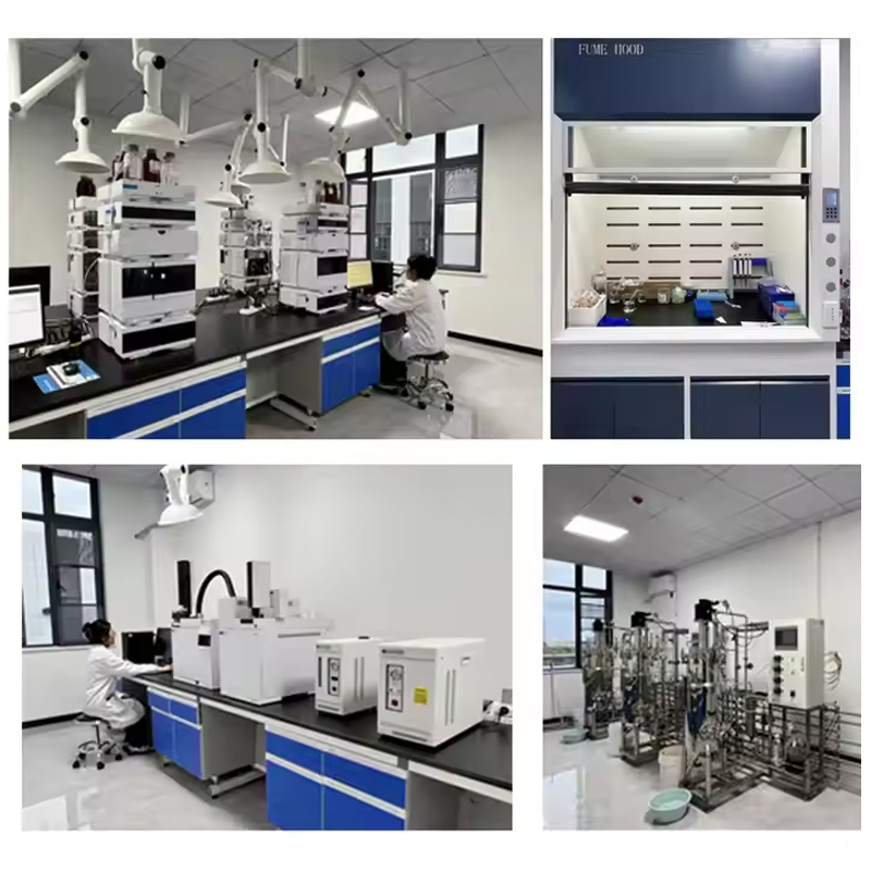 Plant Herbal Extract Tribulus Terrestris Extract Powder Pure Natural Saponins 90%