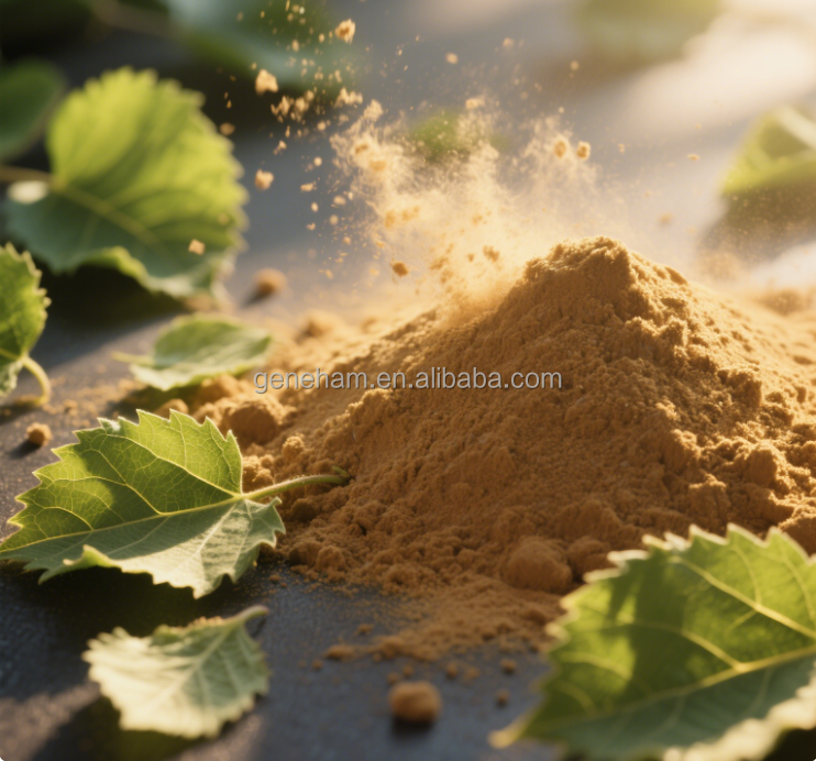 Organic 5% Dnj Mulberry Leaf Extract Wholesale Halal Certified Competitive Price Plant Extract