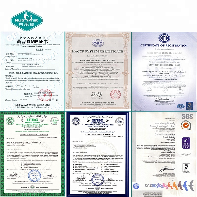 Sugar Free Amino Acid Energy Boost Beta-Alanine Citrulline L-Theanine Pre Workout Powder