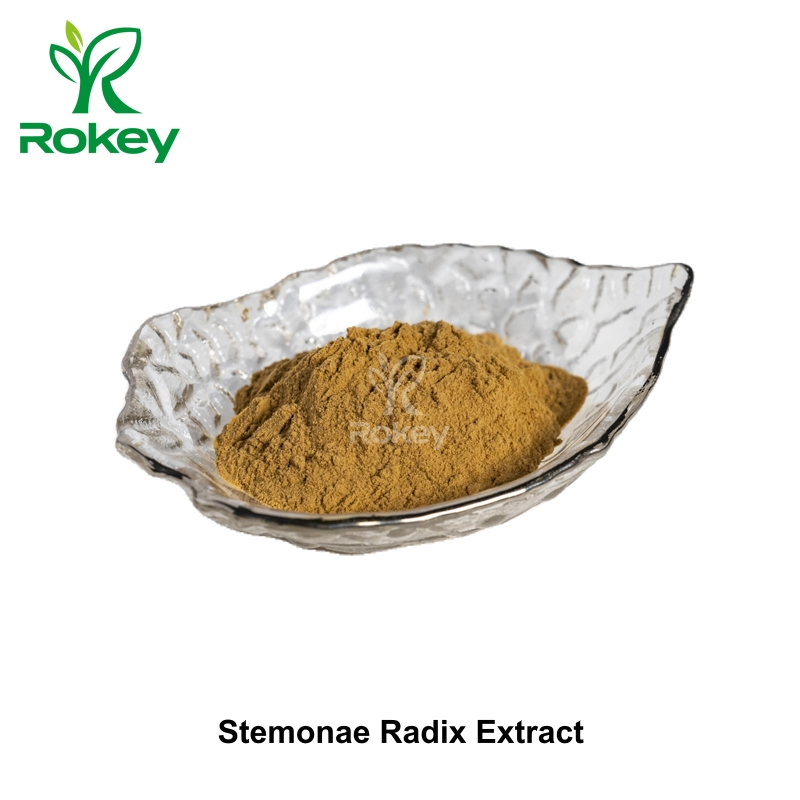 Premium Respiratory Support &amp; Traditional Herbal Powder Radix Stemonae Extract