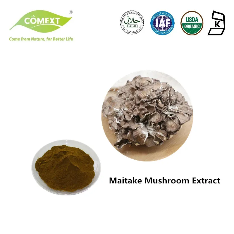 Maitake Mushroom Extract Product