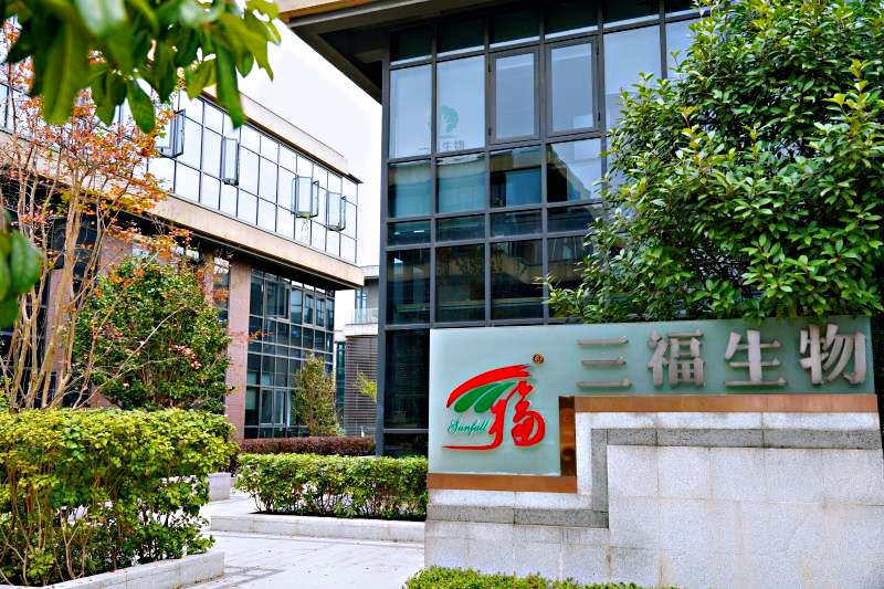 Factory Supply Instant Green Tea Powder