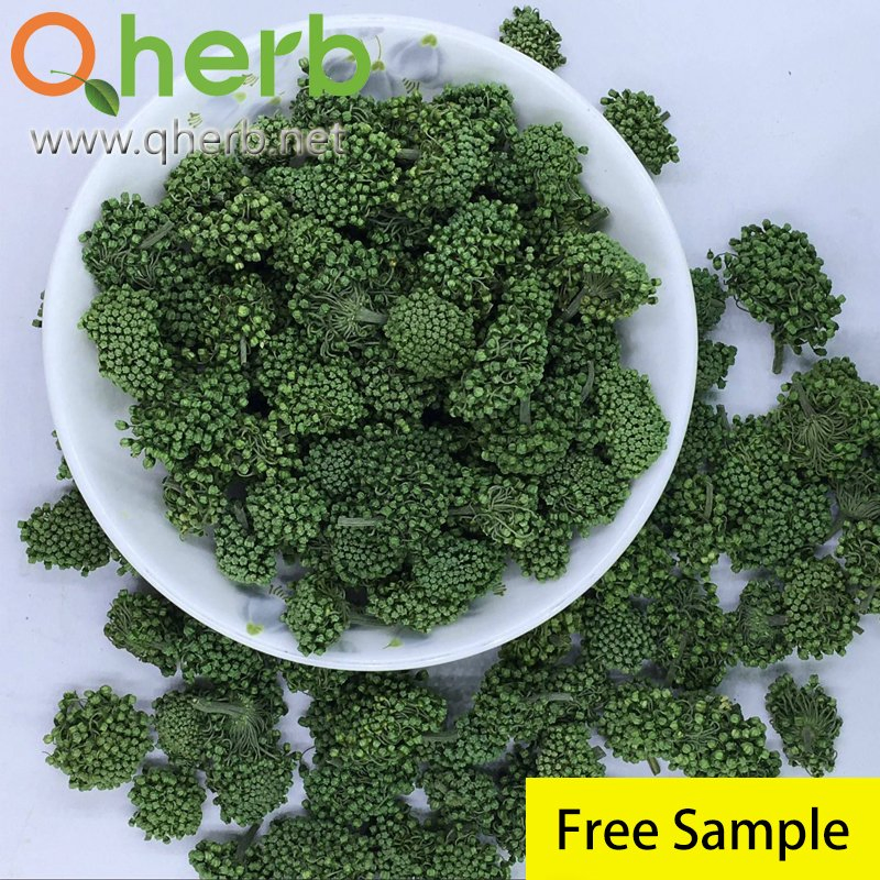 Traditional Chinese Medicine Notoginseng Extract for The Blood and Circulation