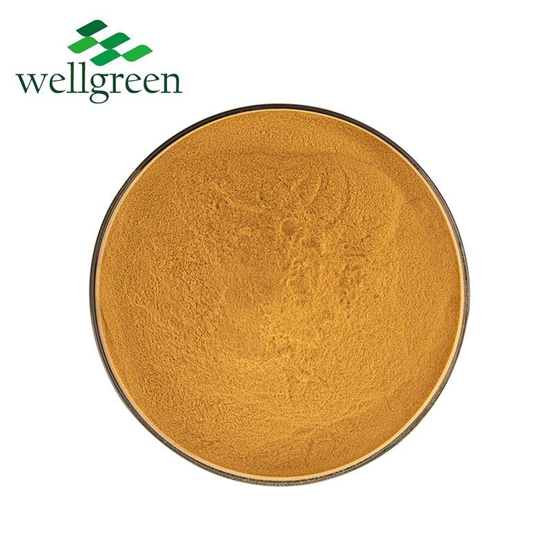 Natural Herbal Extract Bulk Sale Food Additive Instant Green Tea Powder