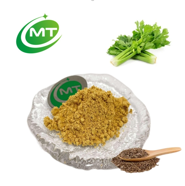 Free Sample High Quality Organic Plant Extract Powder Bulk Celery Seed Extract
