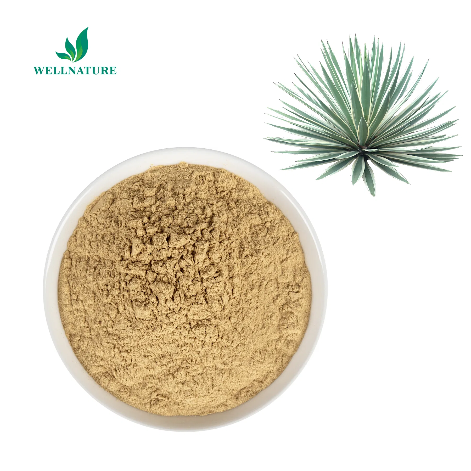 Natural Plant Manufacturer Feed Organic Schidigera Yucca Extract