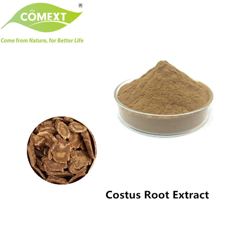 Comext Traditional Chinese Herbal Medicine Ingredient 10: 1 Chinese Saussurea Costus Root Extract
