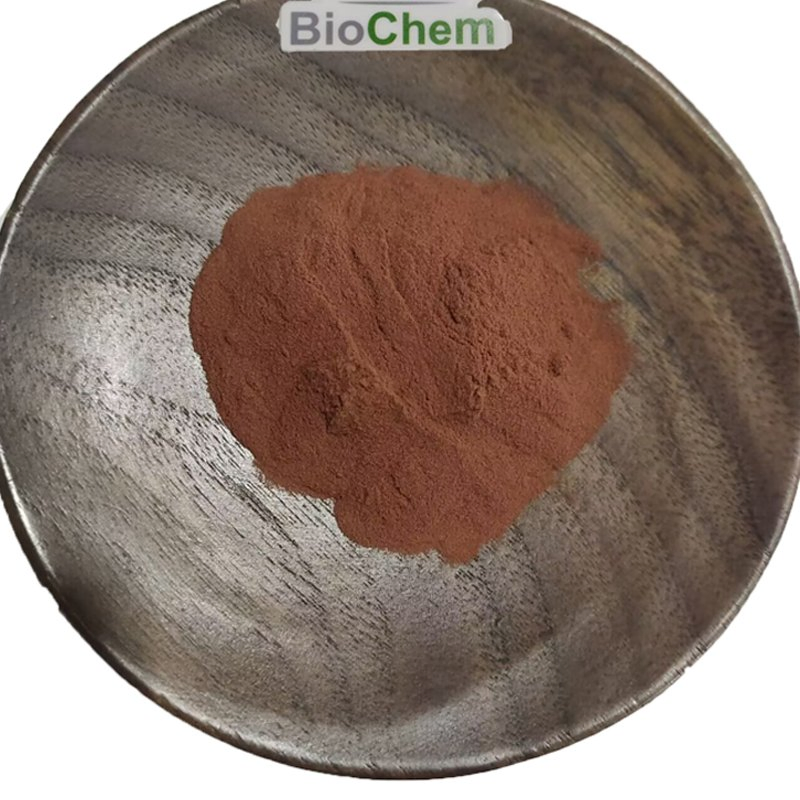 Natural 95% Herbal Extarct Proanthocyanidins Powder Pine Bark Extract