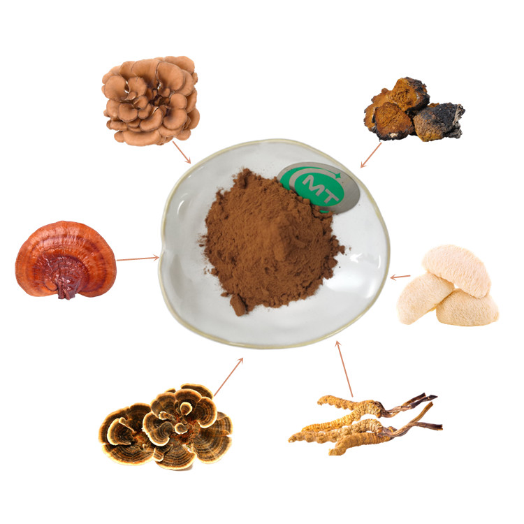 Food Grade Agaricus Blazei Mushroom Extract Water-Soluble Plant Concentrated Extract