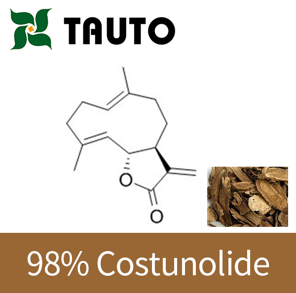 ISO Certified Aucklandia Extract 98% Costunolide 553-21-9 Natural Ingredient Intermediate