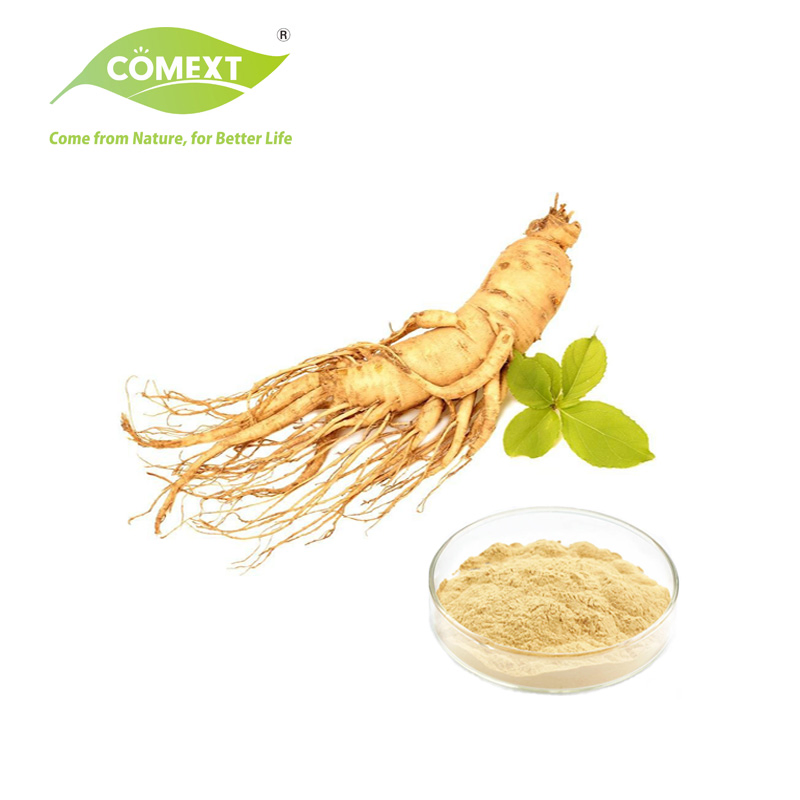 Comext Manufacturer Free Sample Traditional Chinese Medicine Organic HPLC 10% 80% Ginsenosides Polysaccharides Powder Red Korean Plant Panax Ginseng Extract
