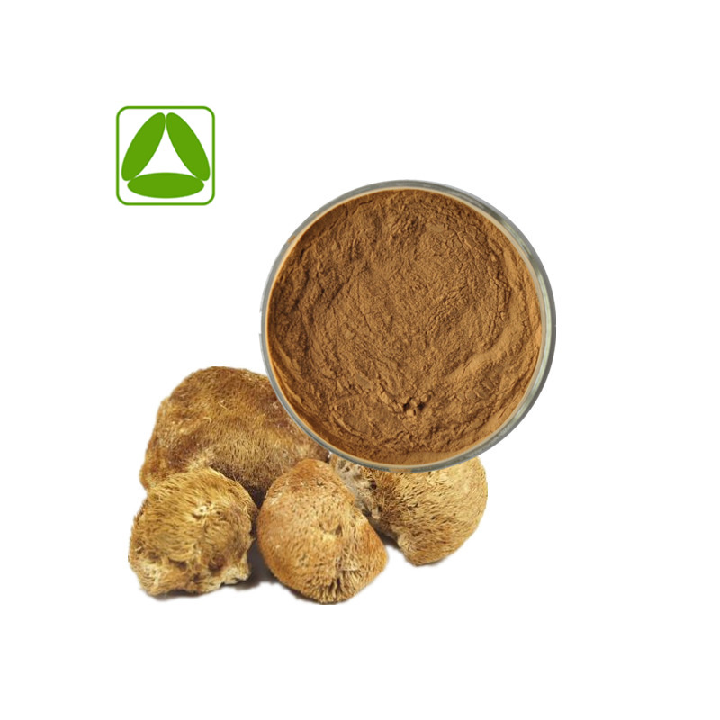 Potent Lion's Mane Mushroom Extract Powder for Brain Health and Focus