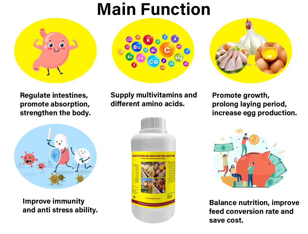 Poultry Multivitamin Oral Solution Veterinary Medicine Vitamin Supplements for Chickens