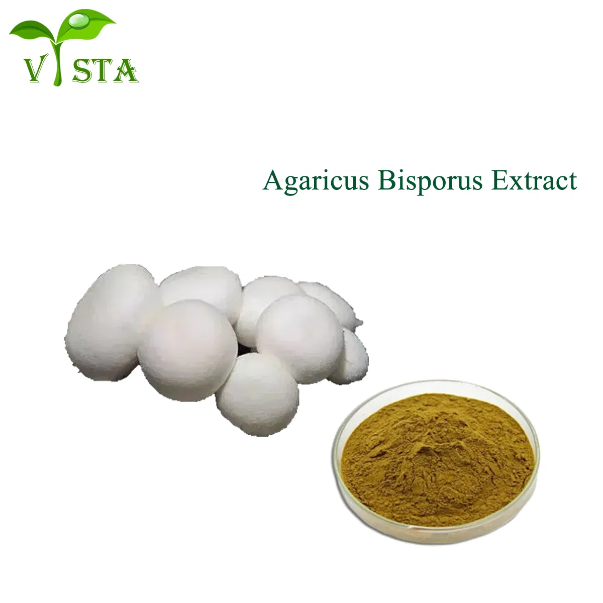 Factory Supply Organic Water Soluble 5: 1~20: 1 Agaricus Bisporus Mushroom Extract Powder