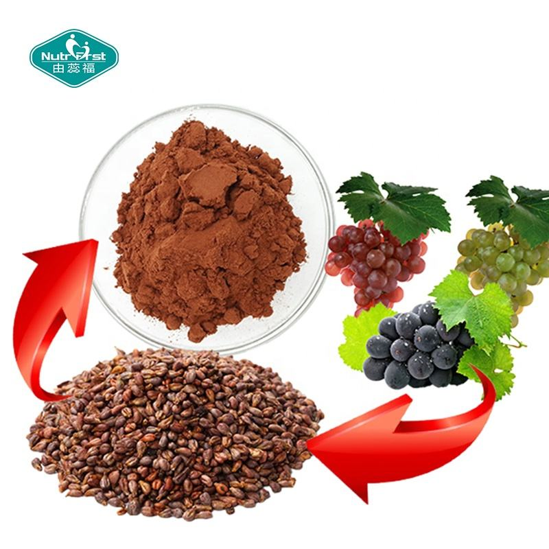 Plant Extract Factory Grape Seed Extract Polyphenols 80% Proanthocyanidin Powder 95% Grape Fruits Seed P. E.
