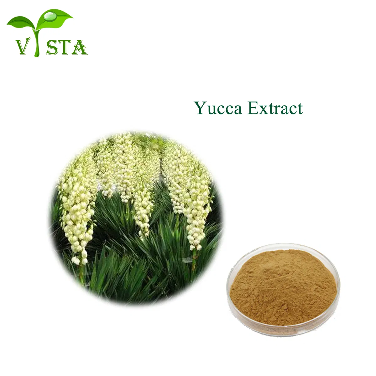 Factory Supply Plant Extract 80% Yucca Saponins Water Soluble Yucca Schidigera Leaf Extract Yucca Extract