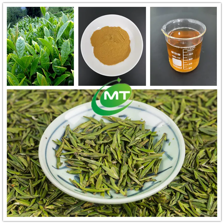 Green Tea Powder