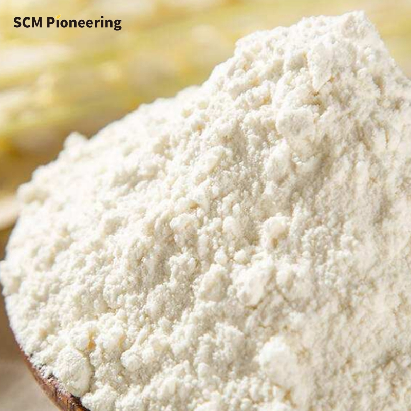 High Quality 100% Water Soluble Ginger Extract Powder Plant Extract Ginger Root Extract