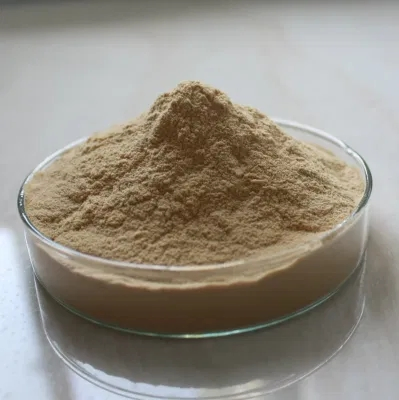 Plant Extract Water Soluble Mint Flavor Powder Natural Spearmint Extract