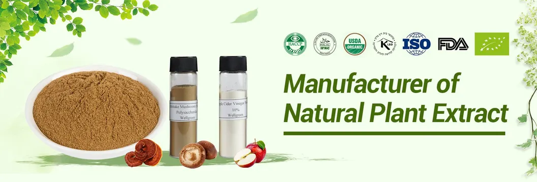 Green Tea Powder Banner