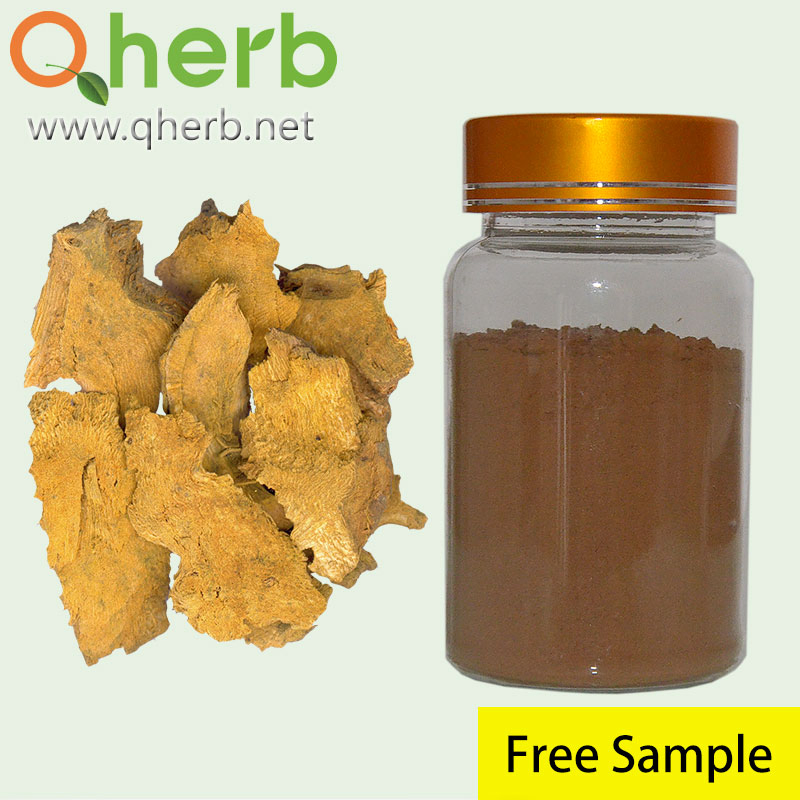 Polygonum Cuspidatum Extract Trans-Resveratrol 98% HPLC Free Sample Herbal Extract