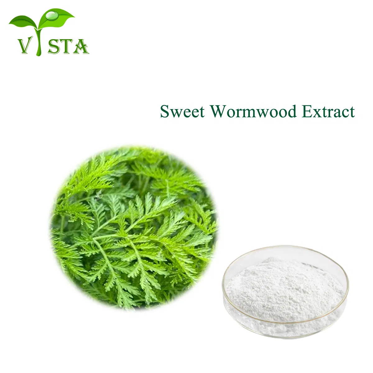 100% Natural Plant Extract Water Soluble Artemisinin Powder Sweet Wormwood Extract