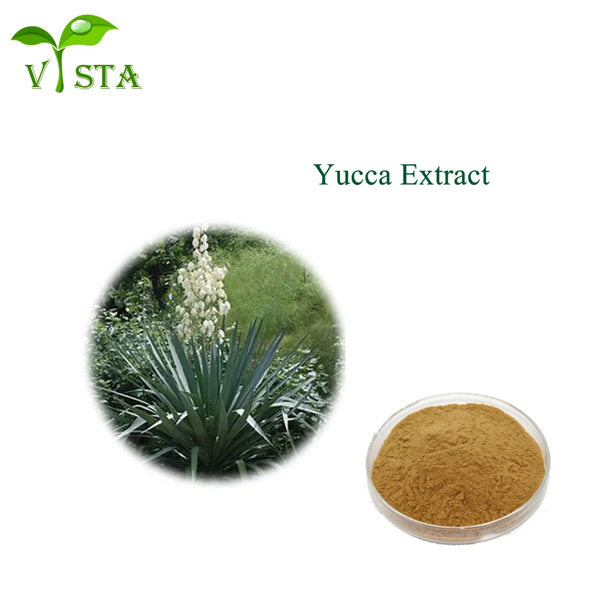 Factory Supply Plant Extract 80% Yucca Saponins Water Soluble Yucca Schidigera Leaf Extract Yucca Extract