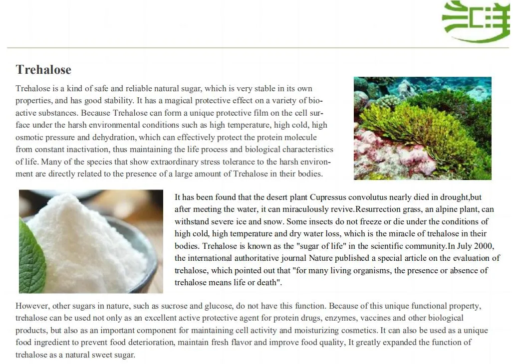 Trehalose Food Ingredients