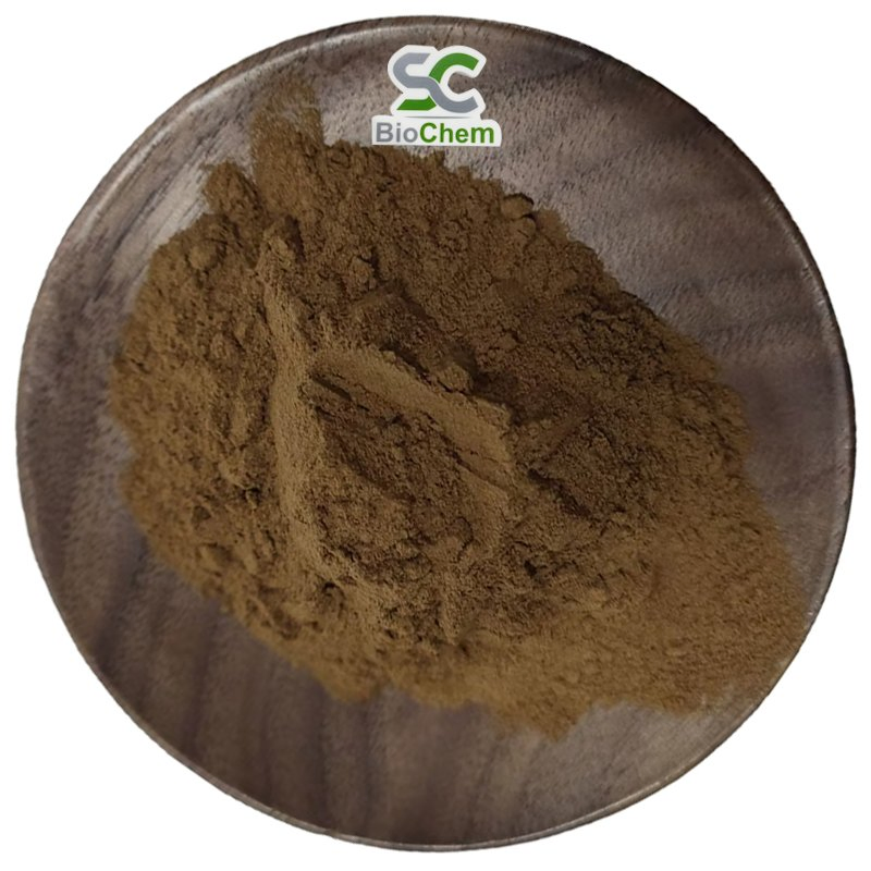Organic Ganoderma Mushroom Plant Extract Reishi Herbal Powder Extract