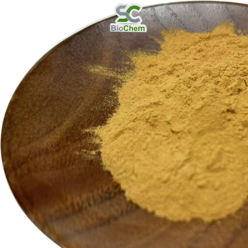 Factory Supply Natural Plant Extract Herb Extract 10%-98% Forskolins Coleus Forskohli Extract