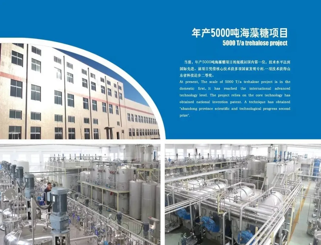 Crystalline trehalose