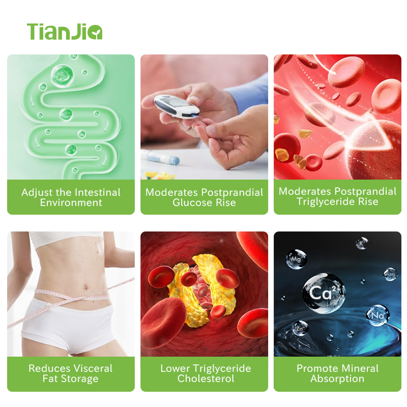 Tianjia Factory Price Natural Water Soluble Dietary Fiber Resistant Dextrin Powder