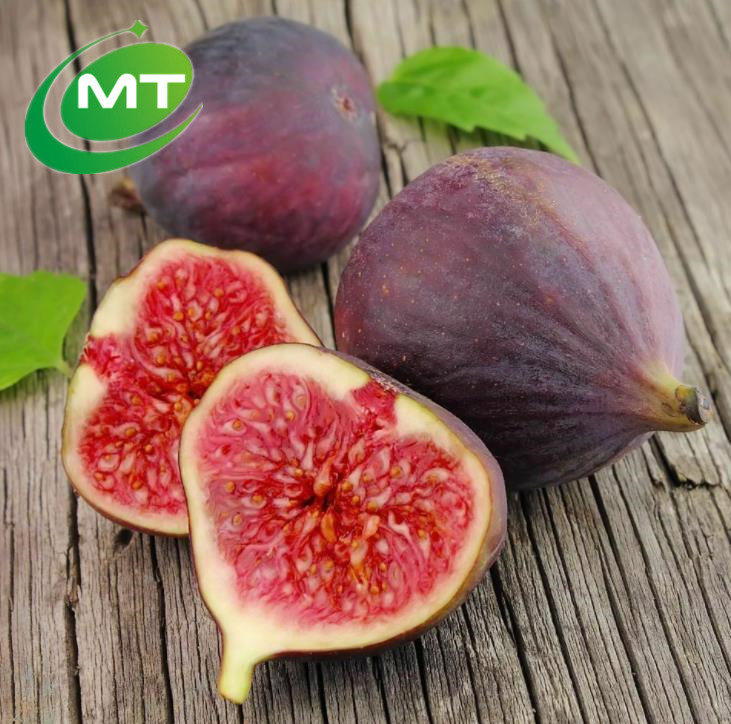 20+ Years Plant Extract Factory Supply Water-Soluble Extract Ficus Carica Fruit Extract Fig Extract