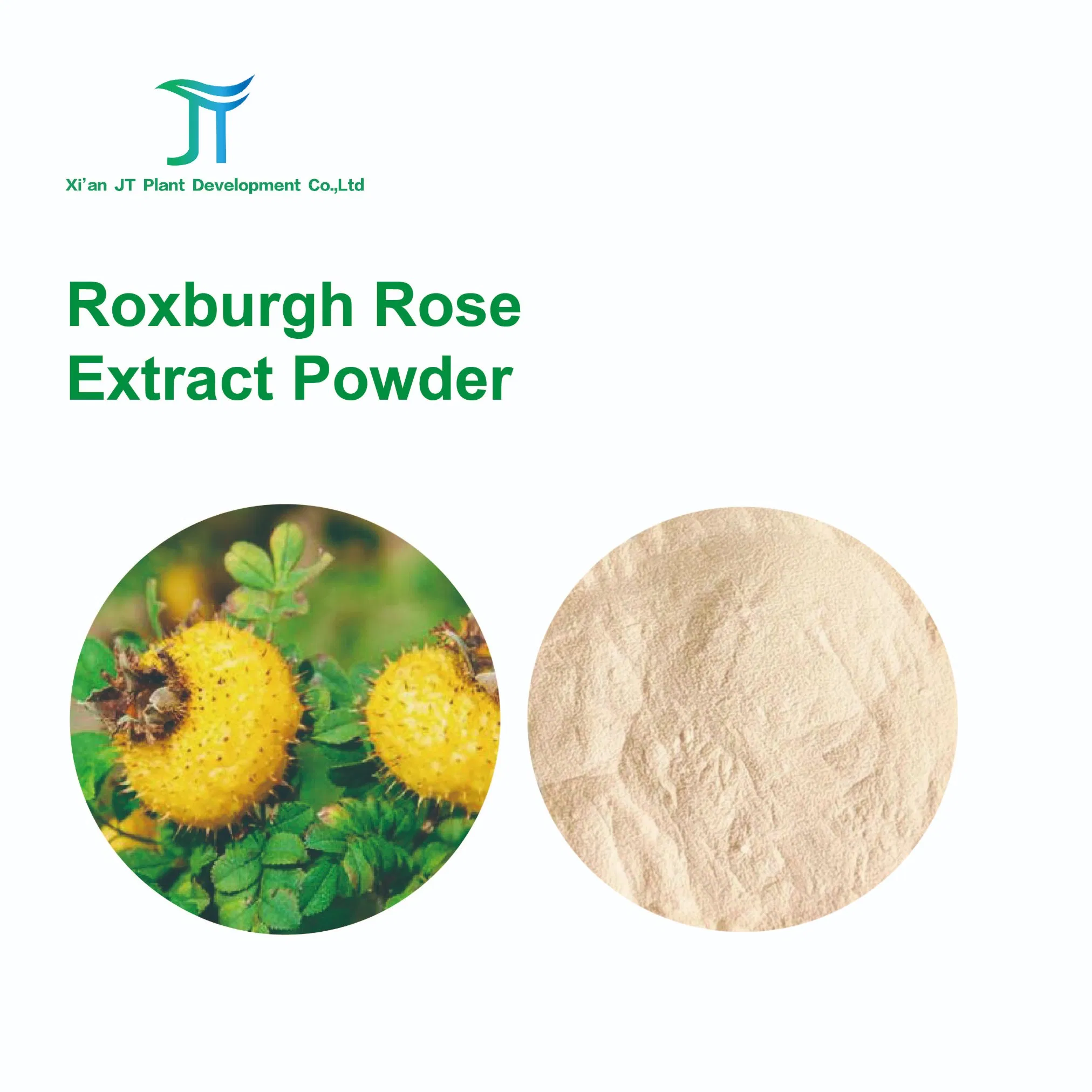 Natural Plant Extract SOD Vitamin C Rosa Roxburghii Extract Powder