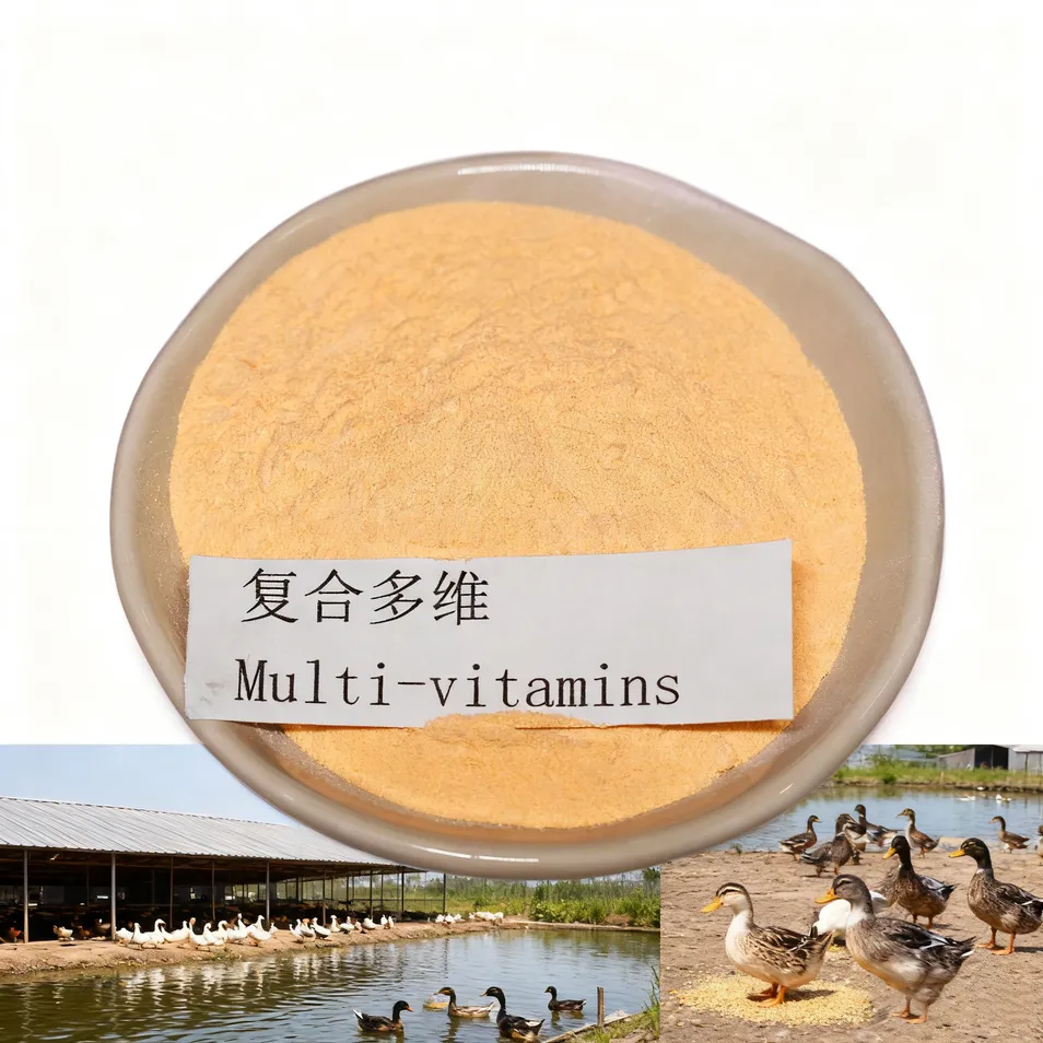 Vitamin Premix 1