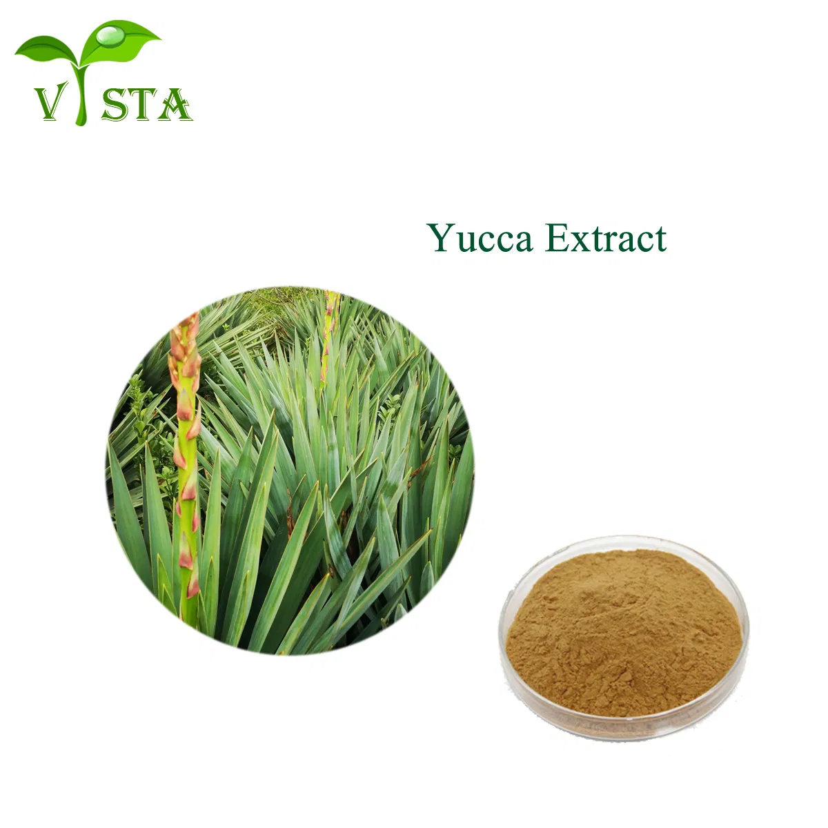 Factory Supply Plant Extract 80% Yucca Saponins Water Soluble Yucca Schidigera Leaf Extract Yucca Extract