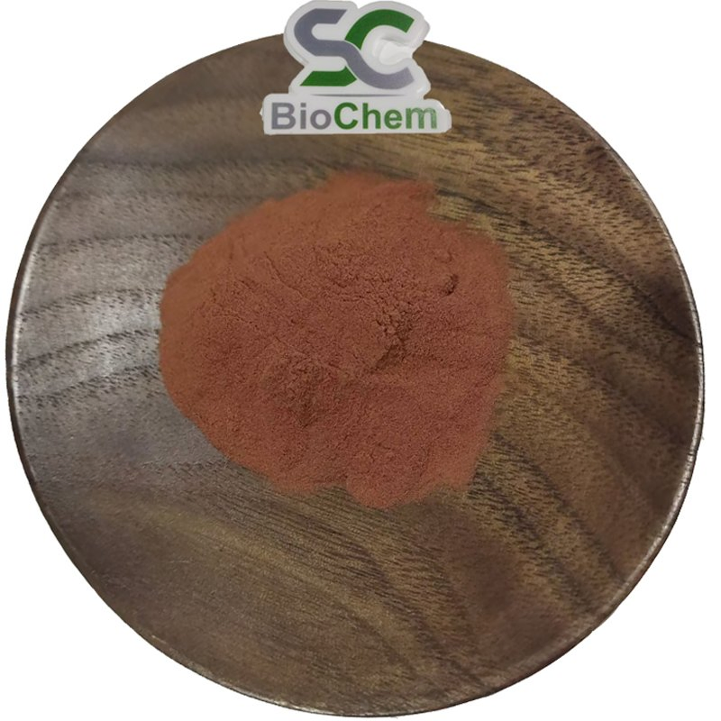 Natural 95% Herbal Extarct Proanthocyanidins Powder Pine Bark Extract