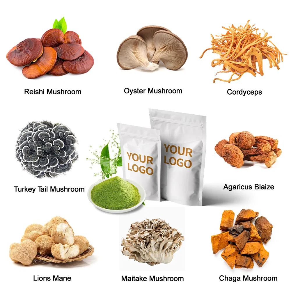 Mushroom Extract Powder 8