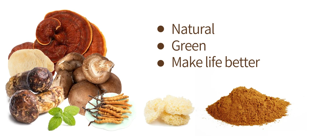 Shiitake Mushroom Powder