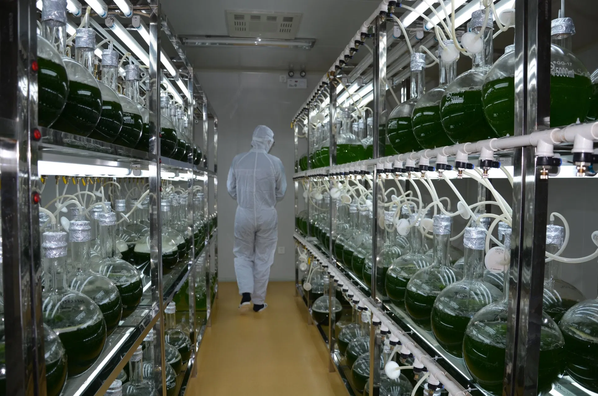 High Quality High Protein 65% Chlorella Powder Healthy Food Additive