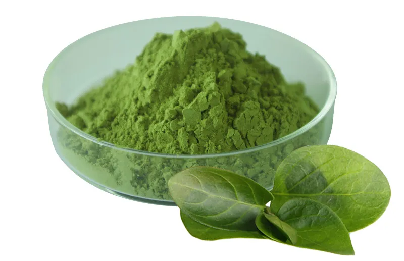 Detailed Matcha Photo 1