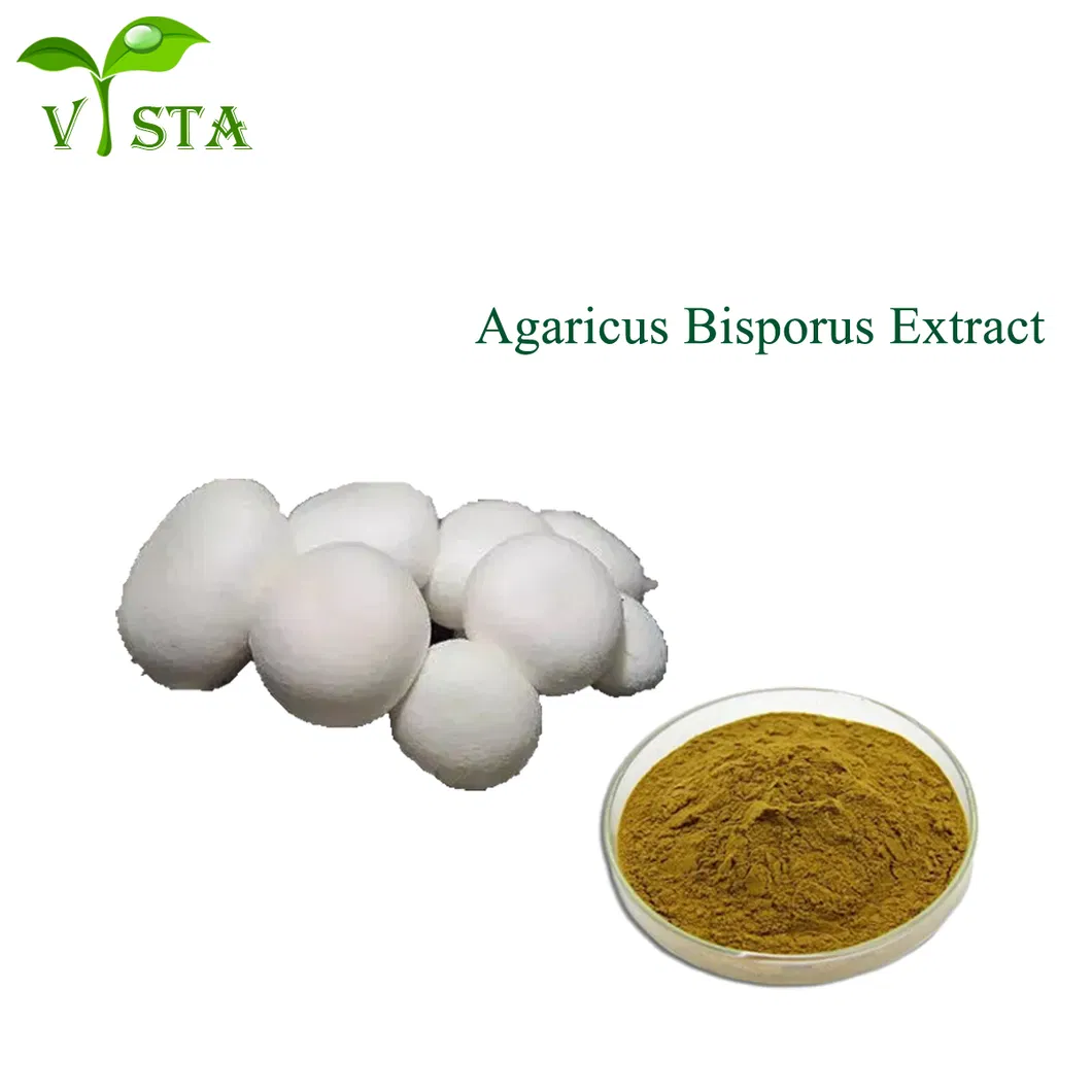 Agaricus Bisporus Extract Powder