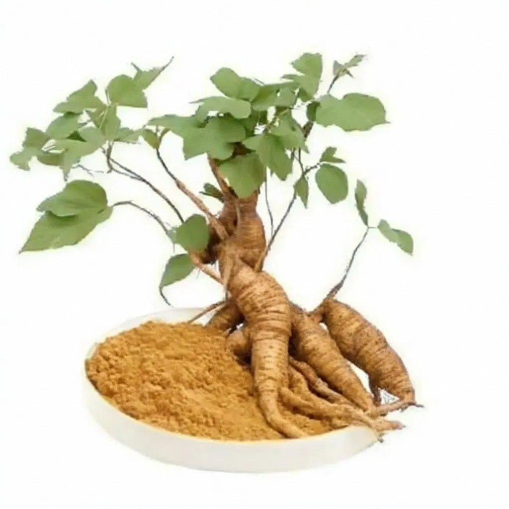 Pueraria Mirifica Extract Powder 1 Kg High Quality Pueraria Mirifica Extract 40% Flavonoids Pueraria Mirifica Extract Chinese Herbal Extract