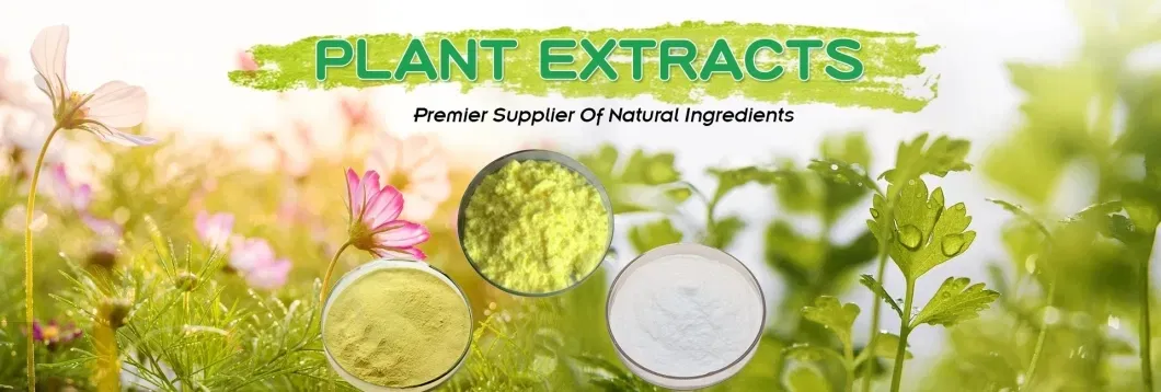 Bitter Melon Extract Powder Plant Extract