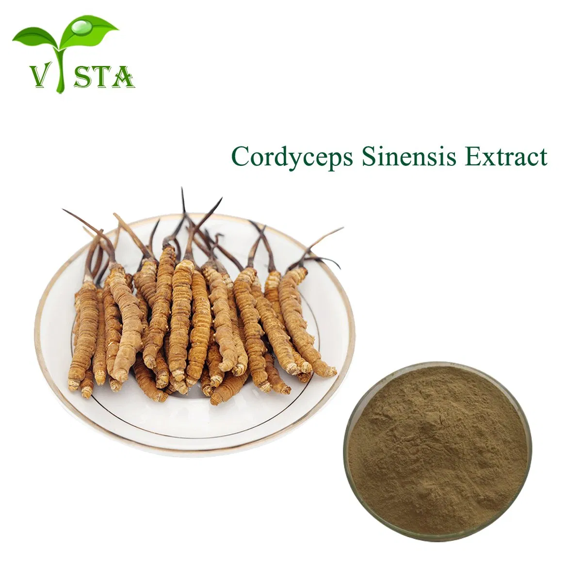 Traditional Chinese Medecine Cordyceps Extract Cordyceptic Acid Cordyceps Sinensis Polysaccharide