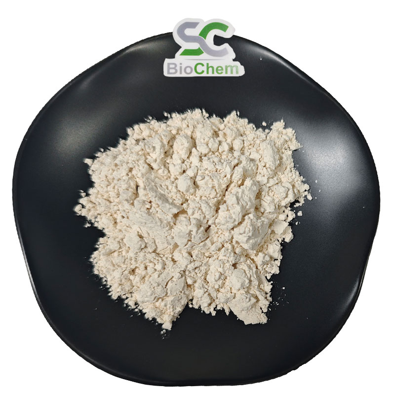 Tiger Milk Mushroom Extract Grinded Powder Tigermilk Mushroom Powder