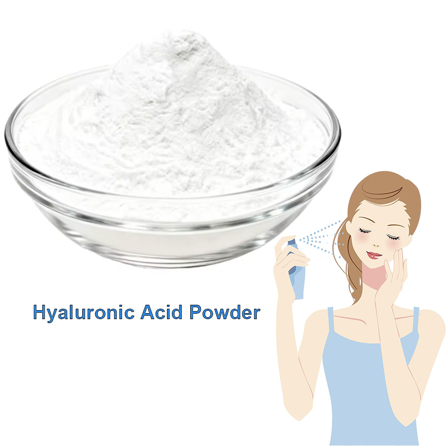 Top Quality Hyaluronic Acid Powder 99% Cosmetic Raw Material CAS 9004-61-9