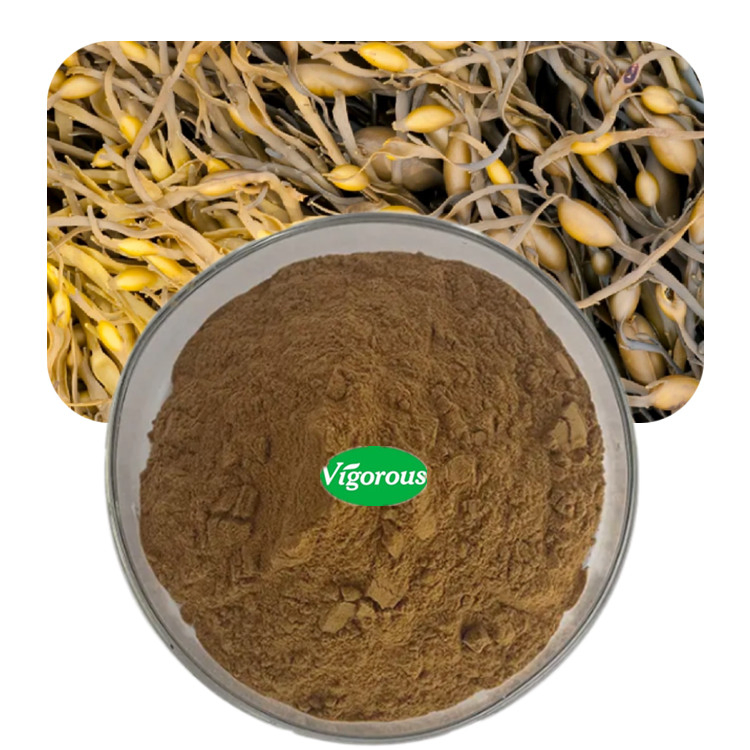 Plant Extract Water Soluble Food Grade Ascophyllum Nodosum Extract