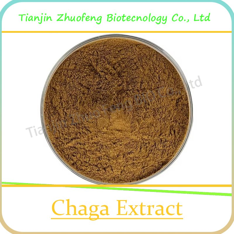 Natural Plant Extract Organic Chaga Mushroom Extract for Anti-Cancer Herb Herbal