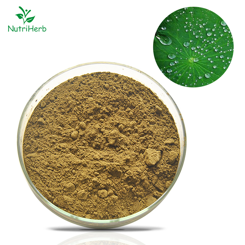 Wholesale Health Products Natural Plant Herbal Raw Material Organic 20% Flavone Nuciferine Lotus Leaf Root Flower Powder Extract